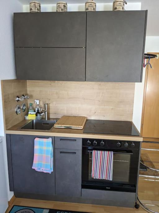 Apartment In Ludwigsburg Kültér fotó