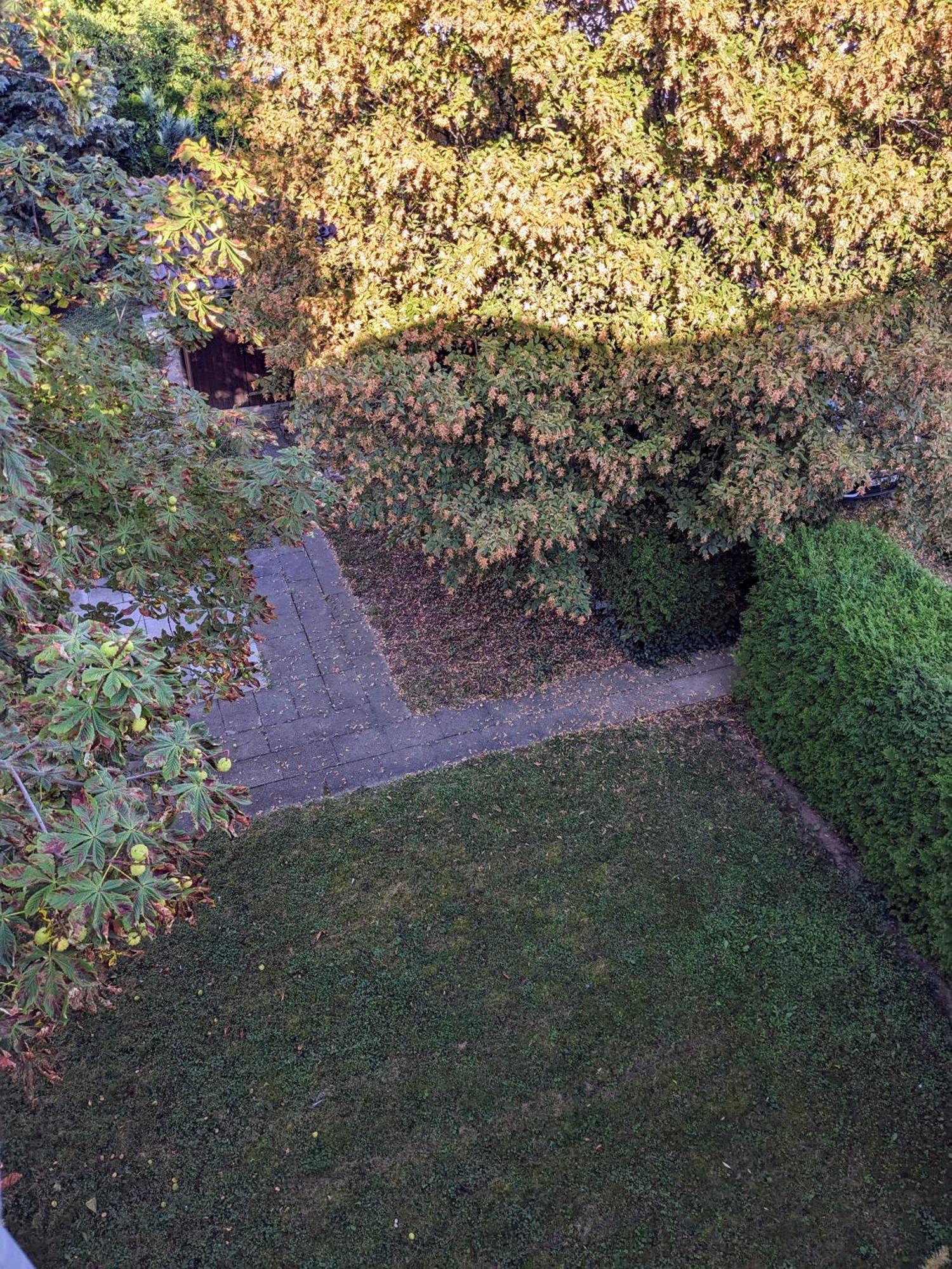Apartment In Ludwigsburg Kültér fotó